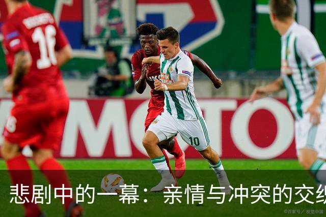 悲剧中的一幕：亲情与冲突的交织