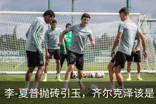 李-夏普抛砖引玉，齐尔克泽该是当下的“明星